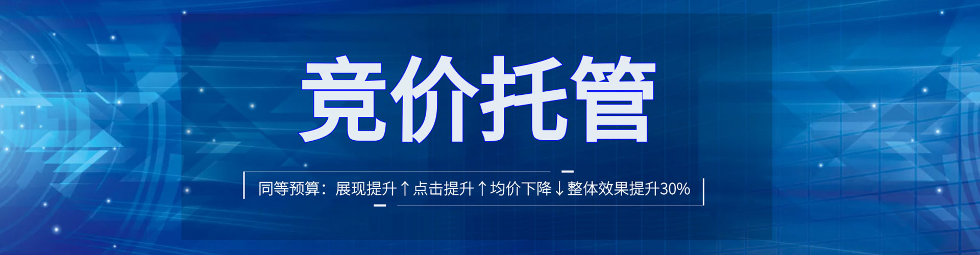 新干sem竞价员